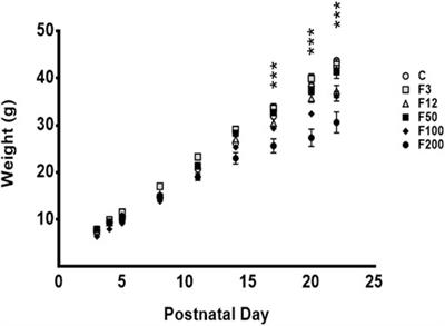 Long-Lasting Analgesia With Transdermal Fentanyl: A New Approach in Rat Neonatal Research